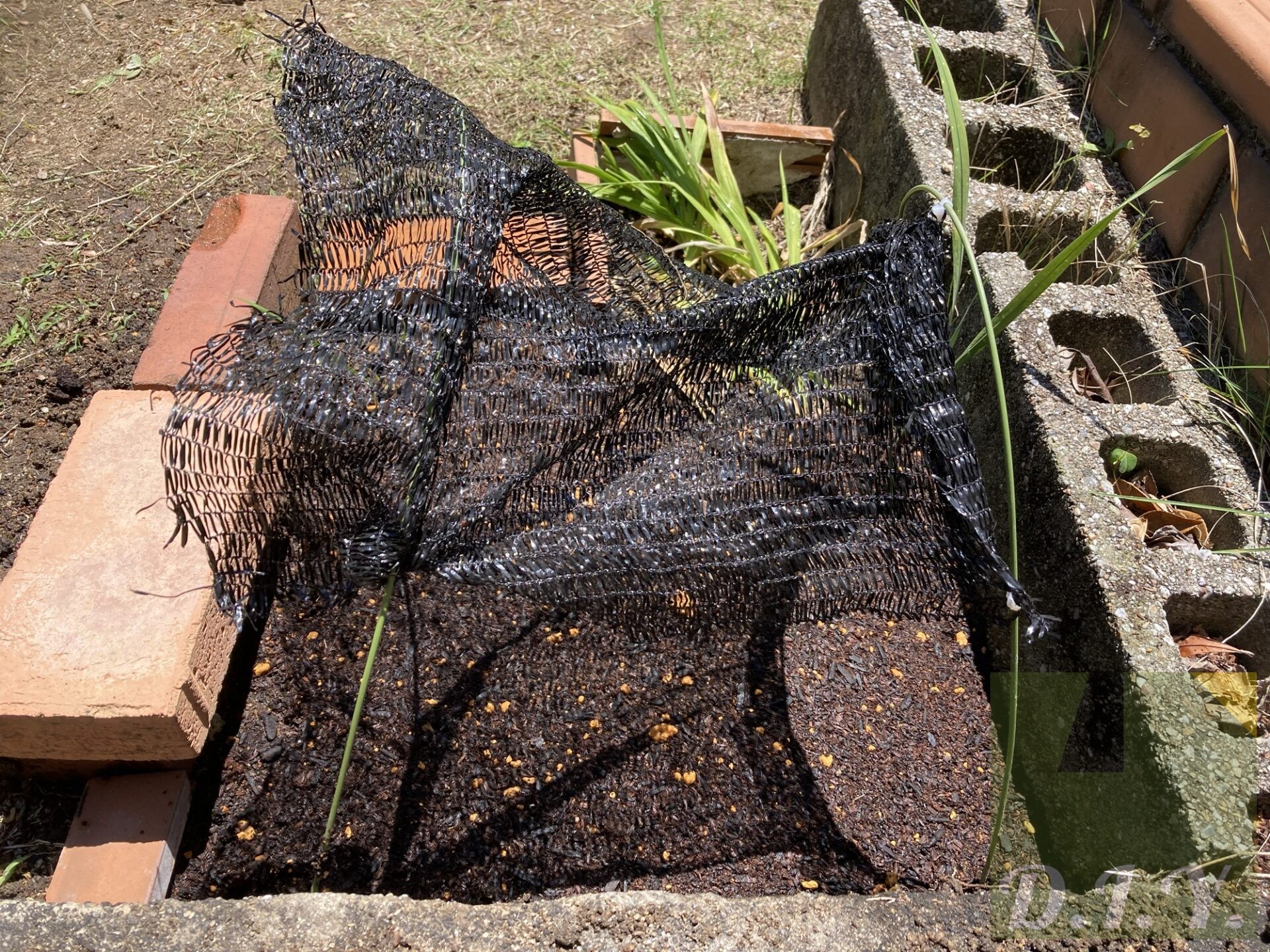 土を被せて、猫よけのネットをかけたもの
